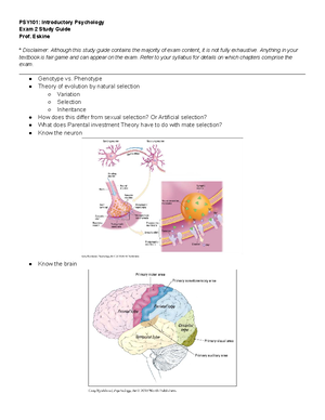 Comprehensive Guide to Key Concepts in Evolutionary Biology (BIO101 ...
