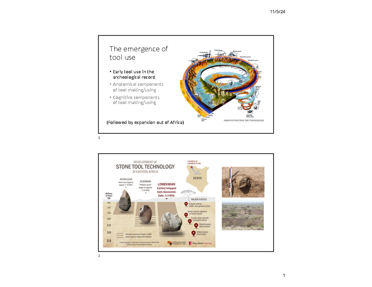 Lecture #18: Tool Use and the Expansion of Homo from Africa - The ...