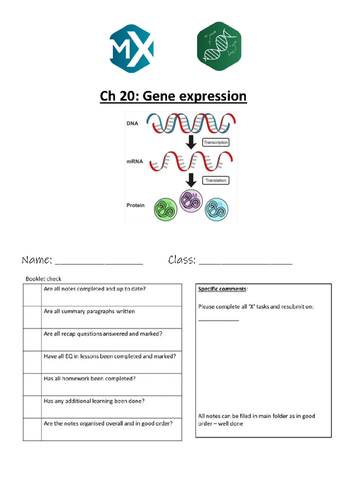 Ch 20: Gene Expression & Mutations - Lesson Notes and Tasks - Studocu