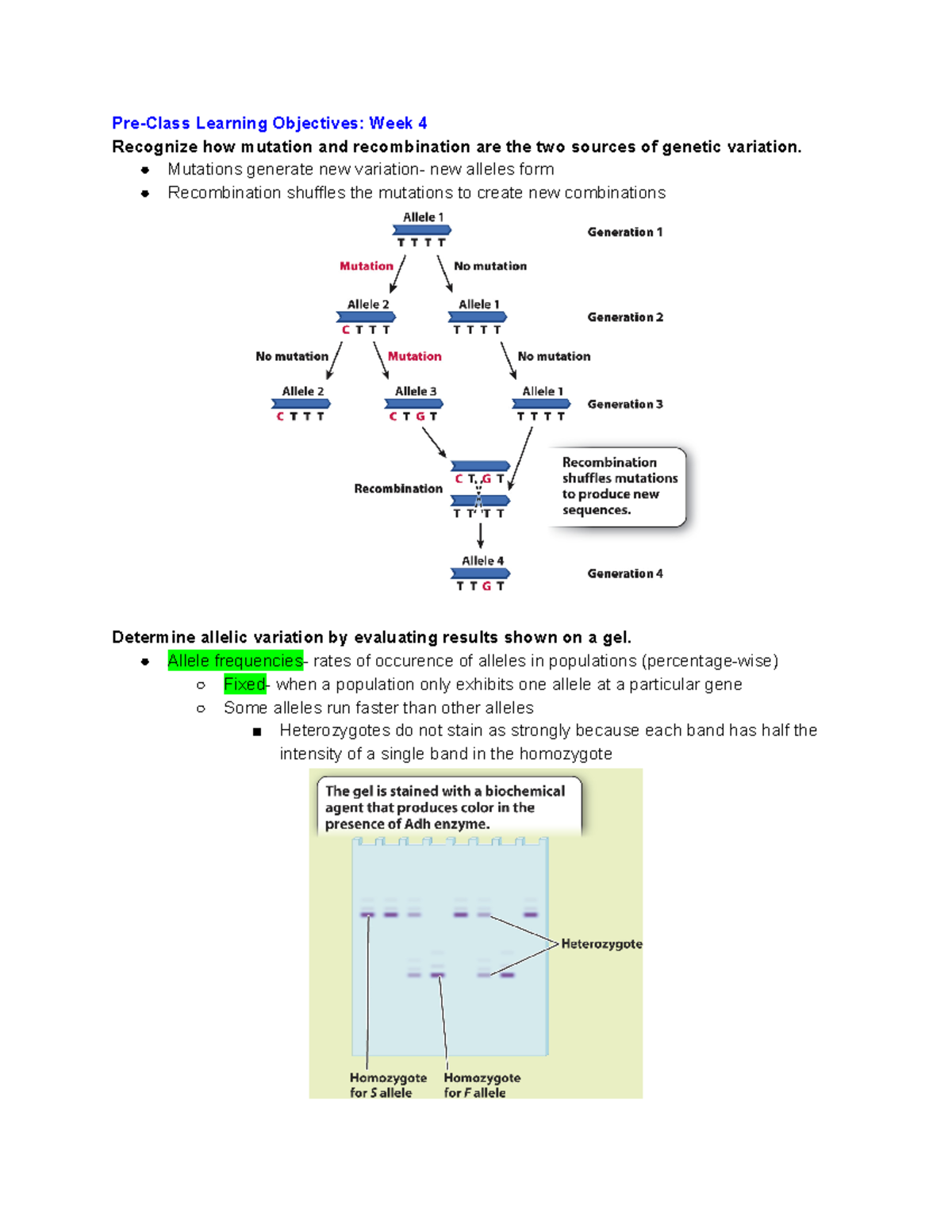 LS7B Week 4 Lecture Notes on Genetic Variation & Evolutionary Forces ...