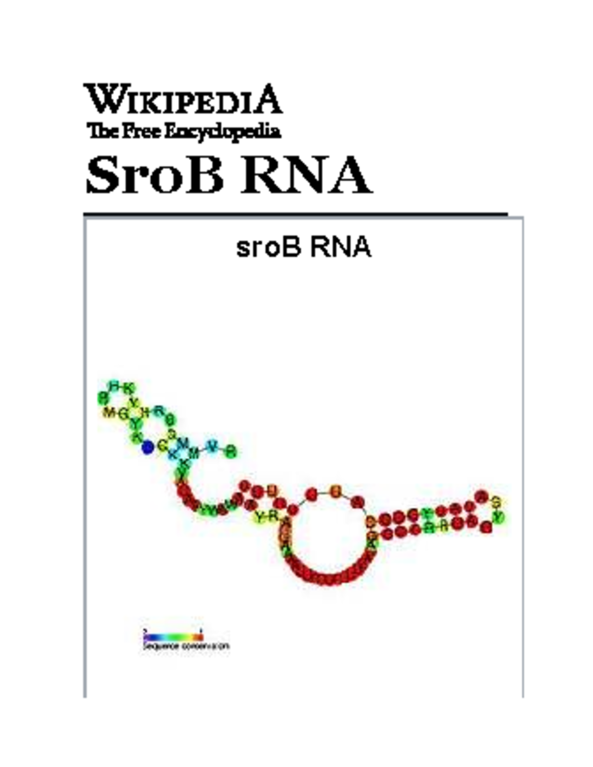 sroB RNA: Predicted Structure & Conservation Analysis - Studocu