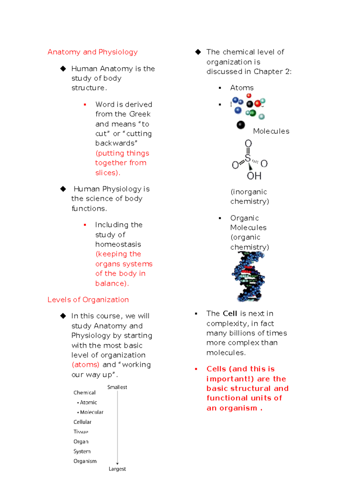 Anatomy and Physiology Overview: Key Concepts and Organization - Studocu