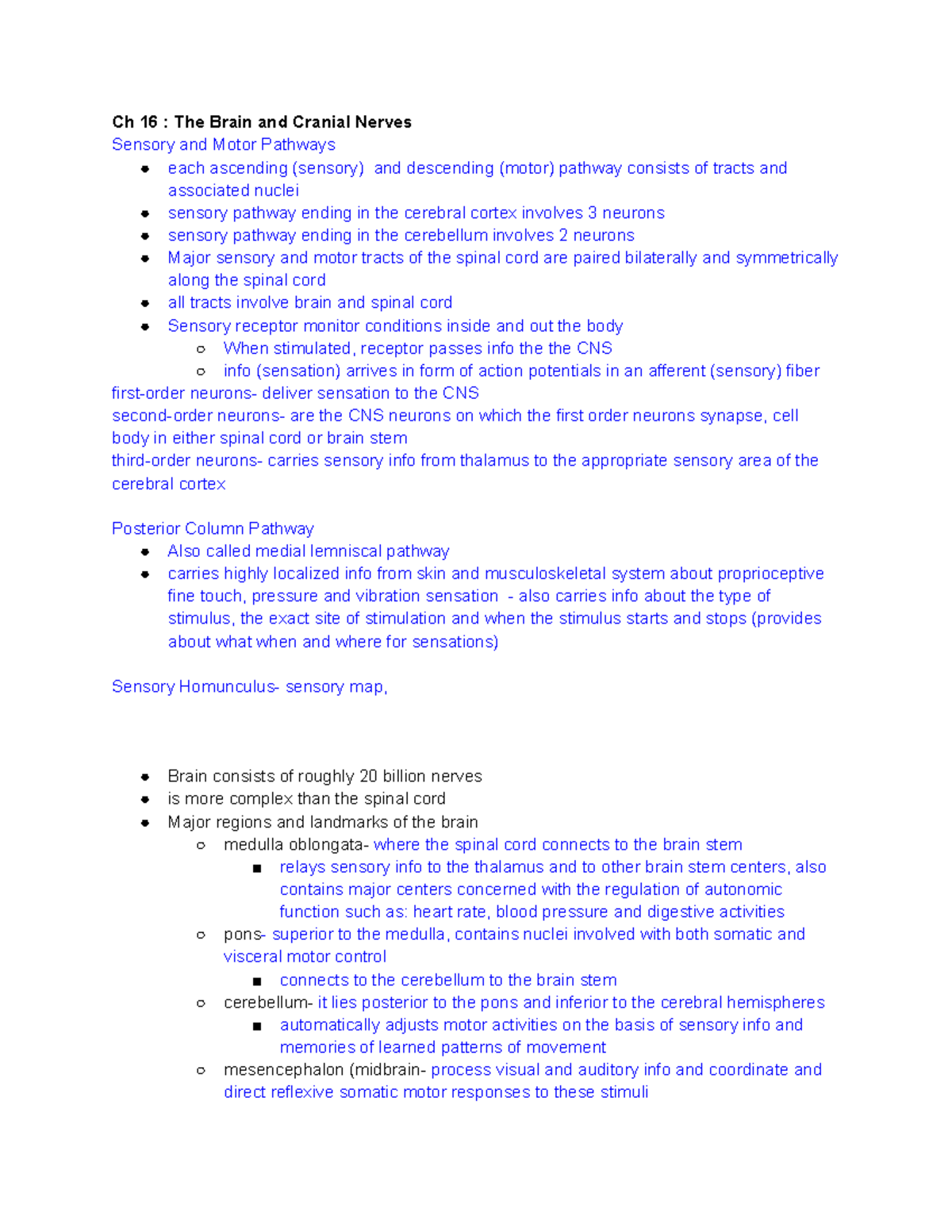 Anat Ch 16,17,18- Nervous - Ch 16 : The Brain and Cranial Nerves ...
