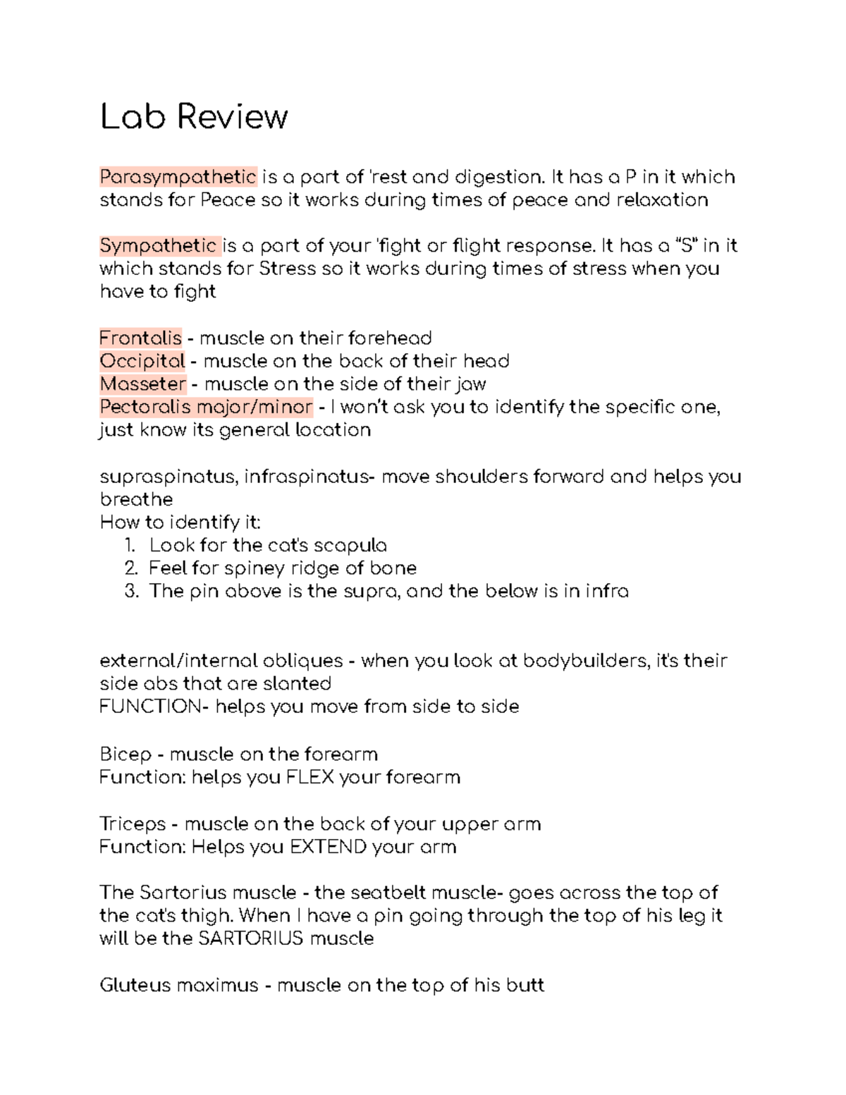 Anatomy Lab BIOL 101 Final Exam Review Notes - Studocu
