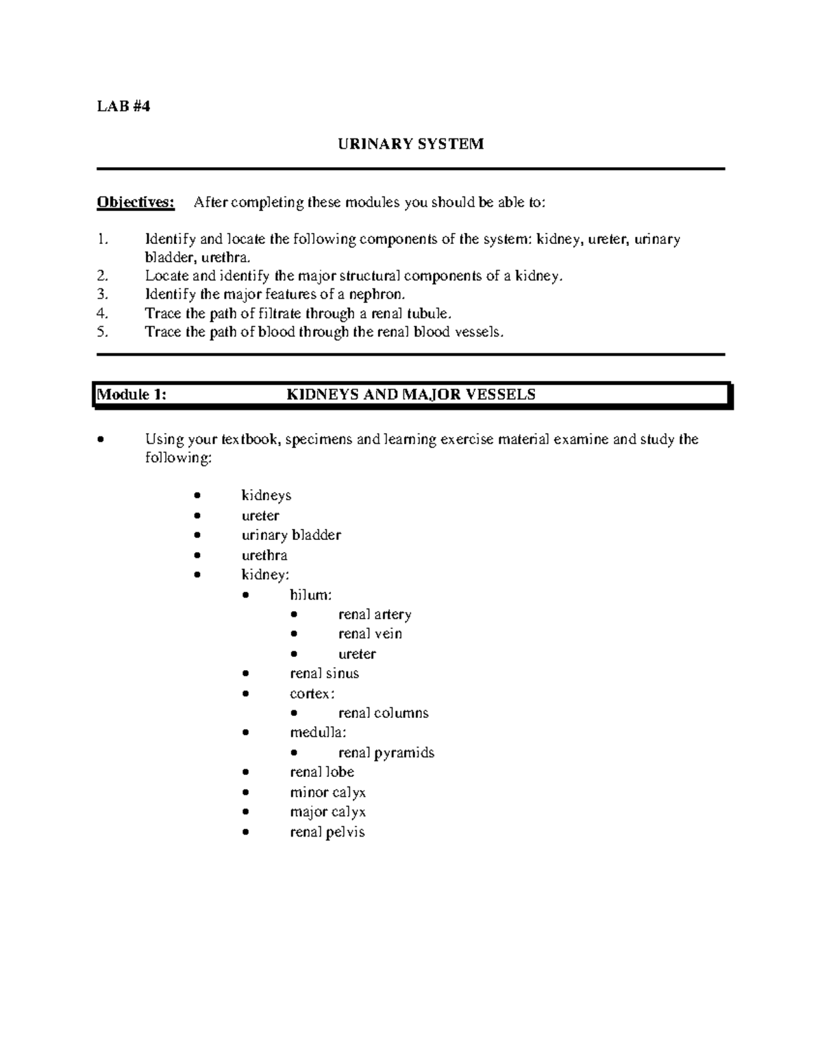 Lab 4 - Urinary System Overview and Key Components - Studocu