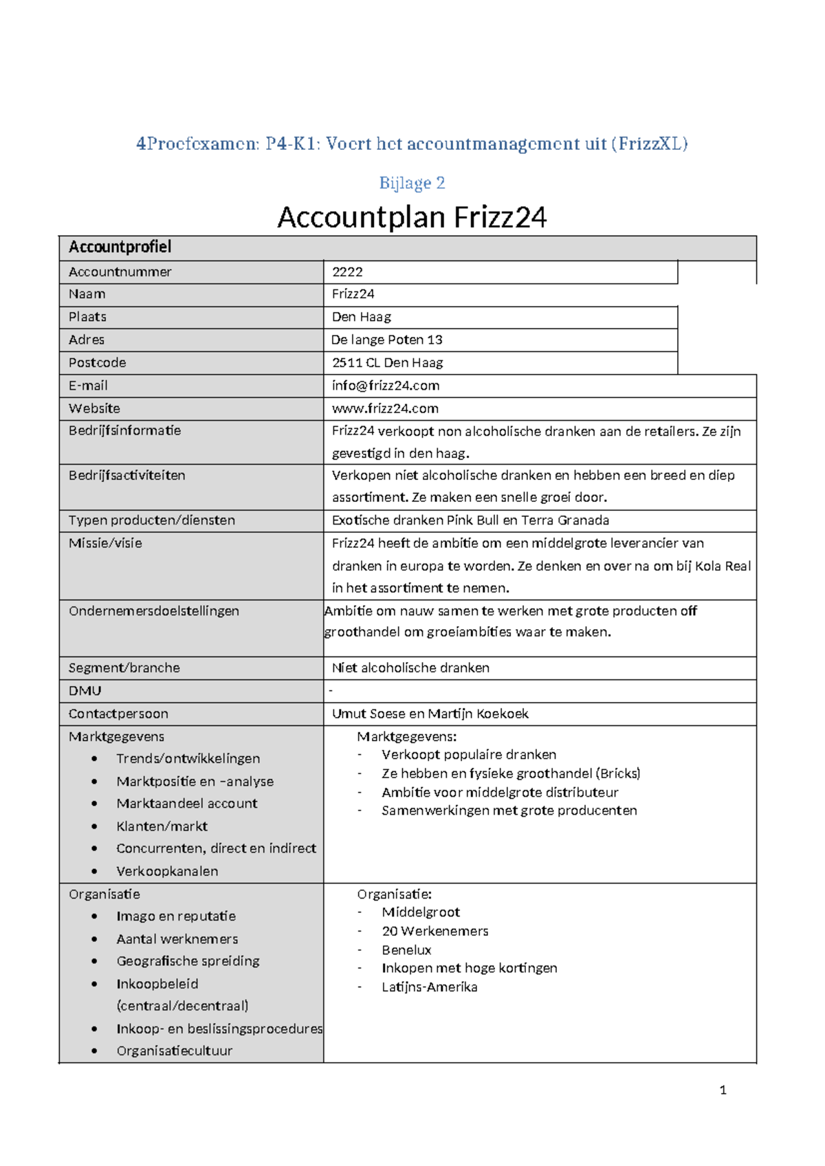 Bijlage 2: Accountprofiel en Strategie voor Frizz24 (4Proefexamen ...