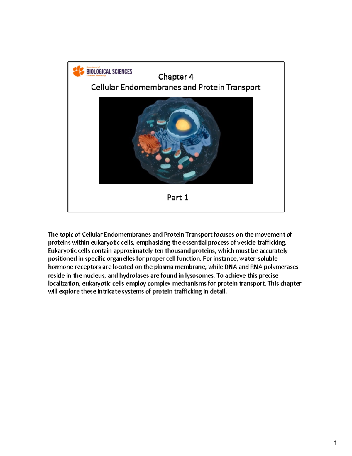 Cell Bio Chapter 4: Protein Transport & Endomembrane Systems Insights ...