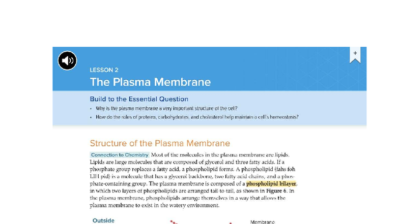 LESSON 2: The Plasma Membrane and Its Role in Homeostasis - Studocu