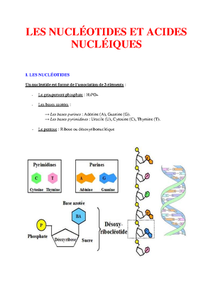 TD Chap 2 Les protides corrigé - BIOCHIMIE STRUCTURALE CHAPITRE 2 ...