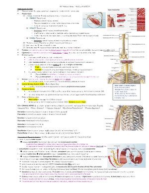 Anatomy & Physiology - final exam study guide - A&P Module 4 Notes ...