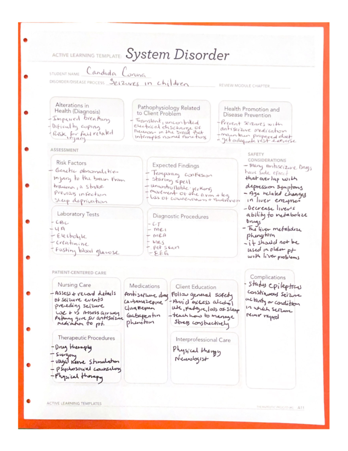 Seizure Monitoring Chart Template