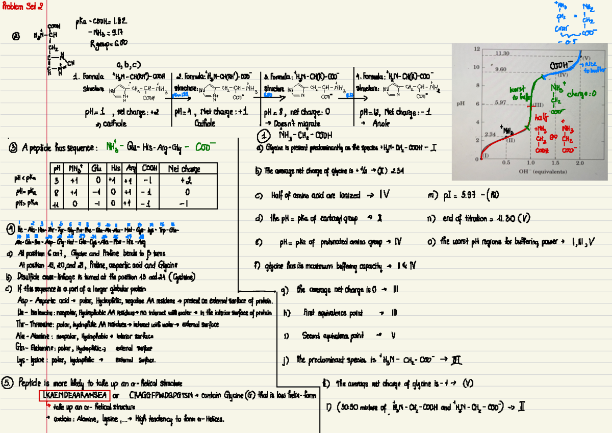 Biochemistry 101 - Practice Problem Set 2 Analysis - Studocu