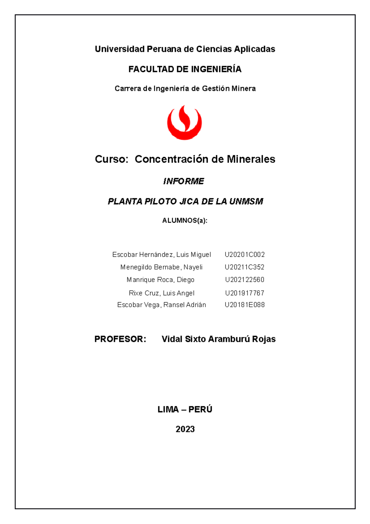 Informe sobre la Planta Piloto JICA en UNMSM - Concentración de Minerales - Document Preview