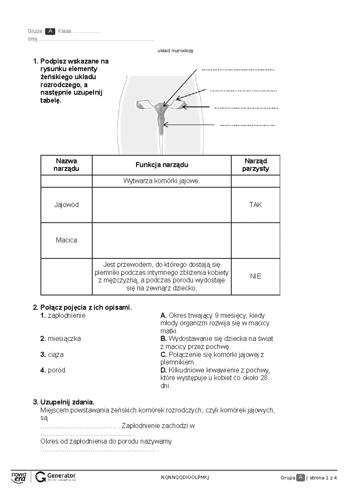 Układ Rozrodczy Sprawdzian Klasa 7 www.studocu.com