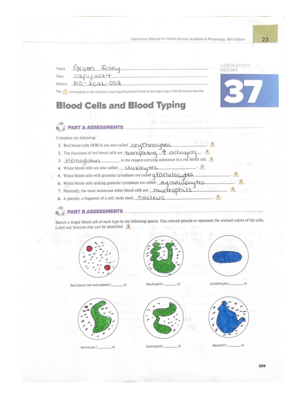 Hole (band) visual data 2