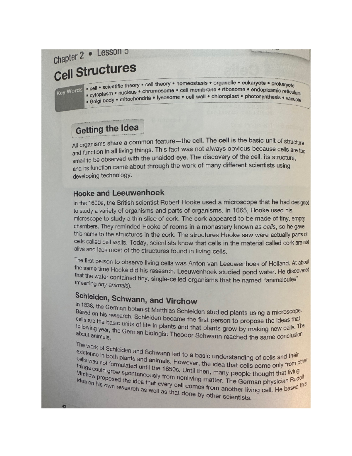 Cell+Structures - Cell Structures Note Page - Chapter 2 Lesson 5 Cell ...