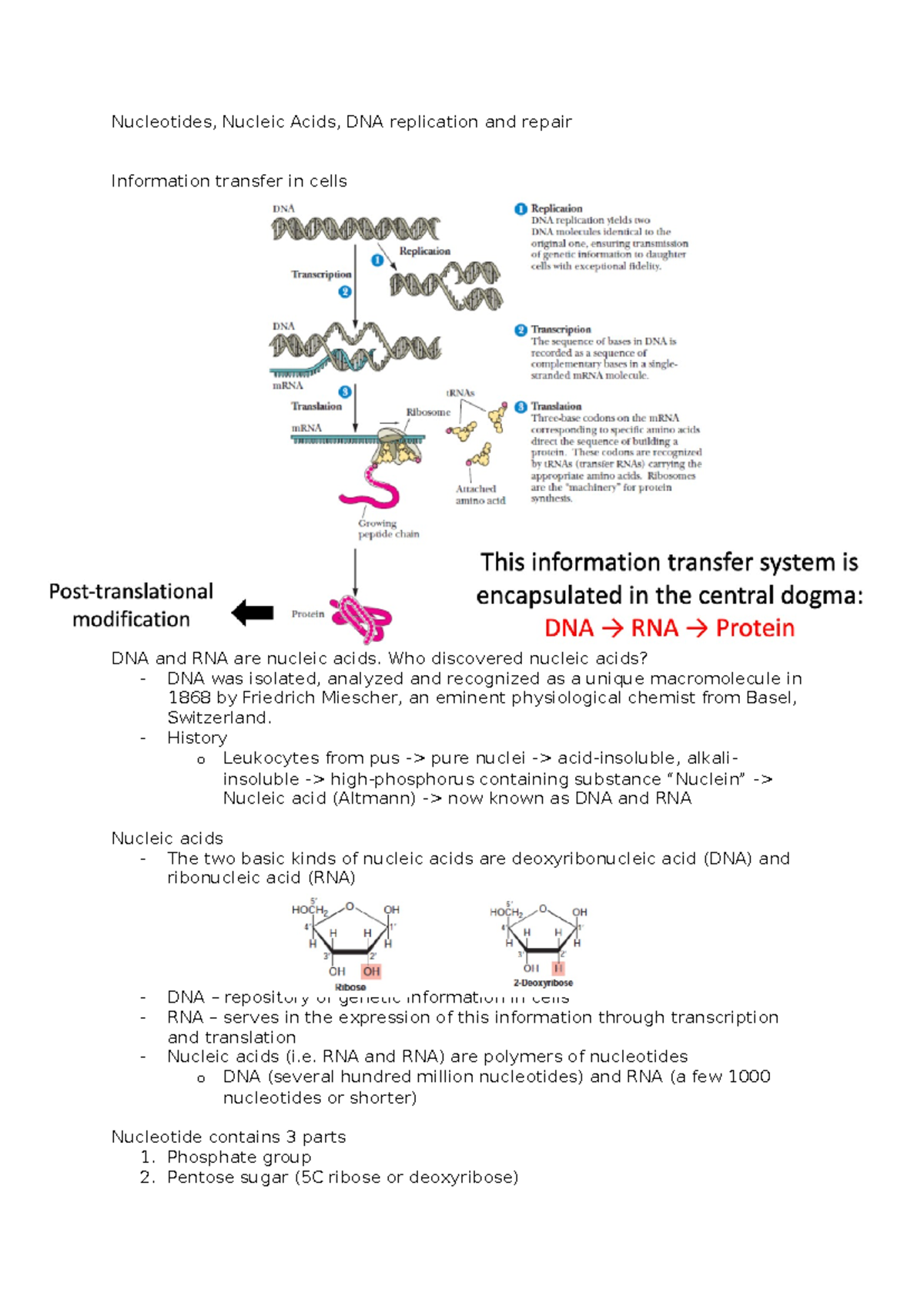 Nucleotides and Nucleic Acids: Key Concepts in DNA Replication & Repair ...