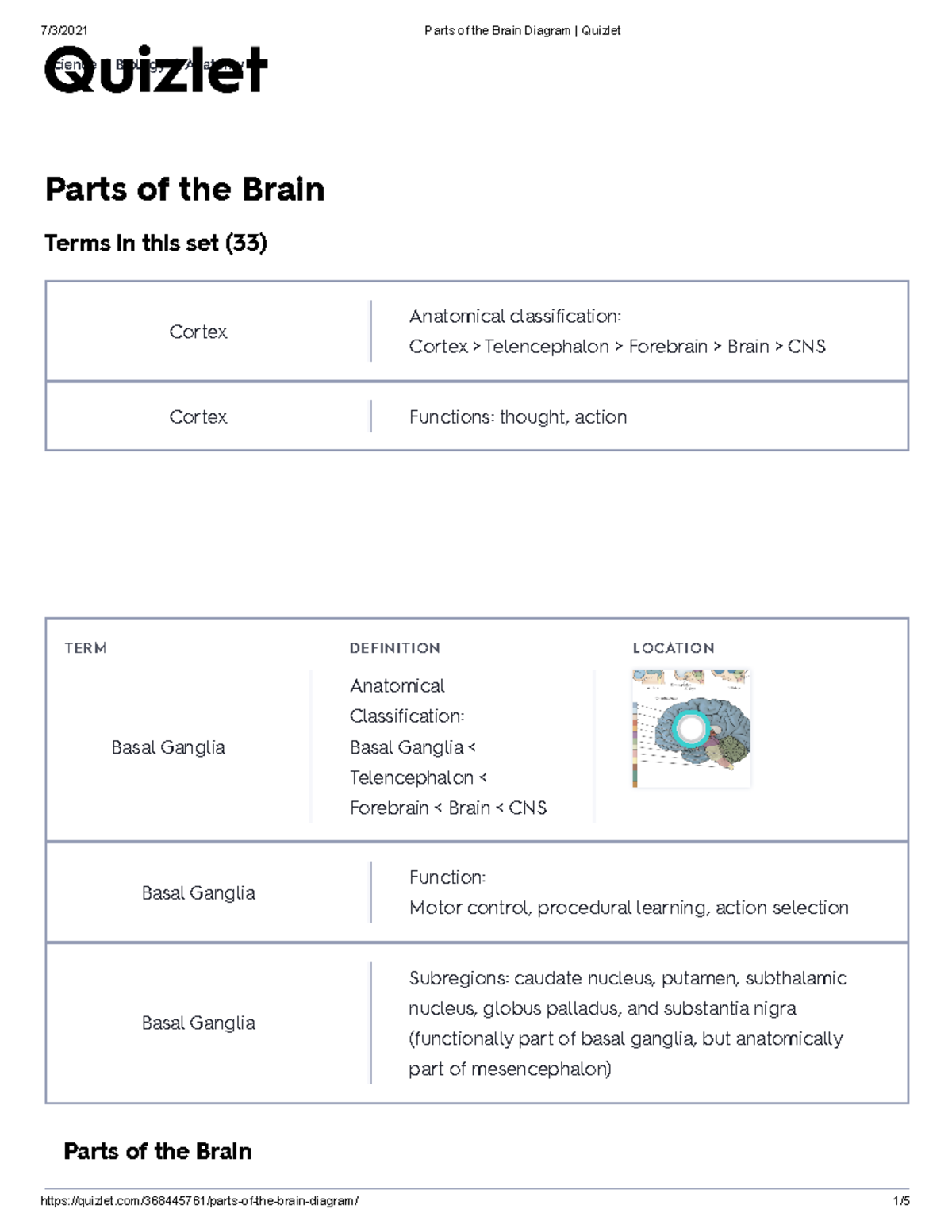 Anatomy Quizlet: Parts of the Brain Overview and Functions - Studocu