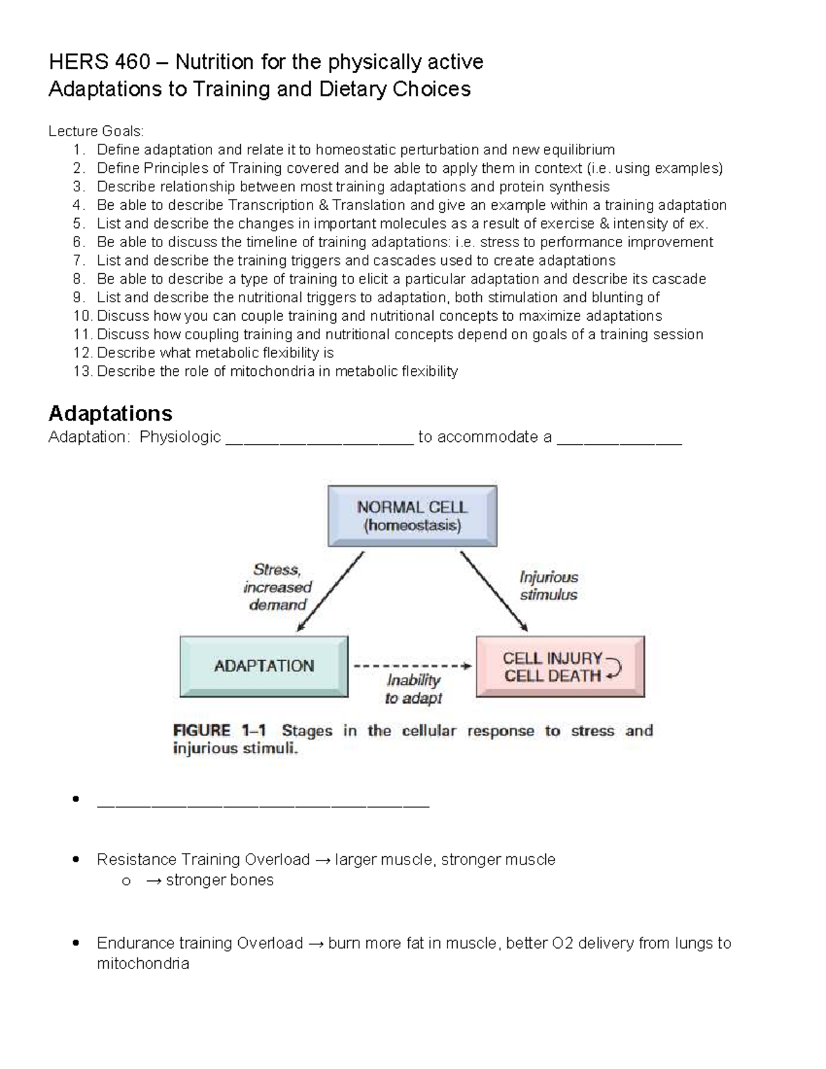 HERS 460 Lecture: Adaptations to Training & Nutritional Strategies ...