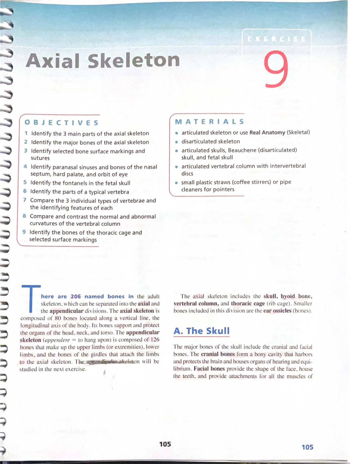 Exercise 9: Axial Skeleton Overview and Key Identifications (BGL) - Studocu