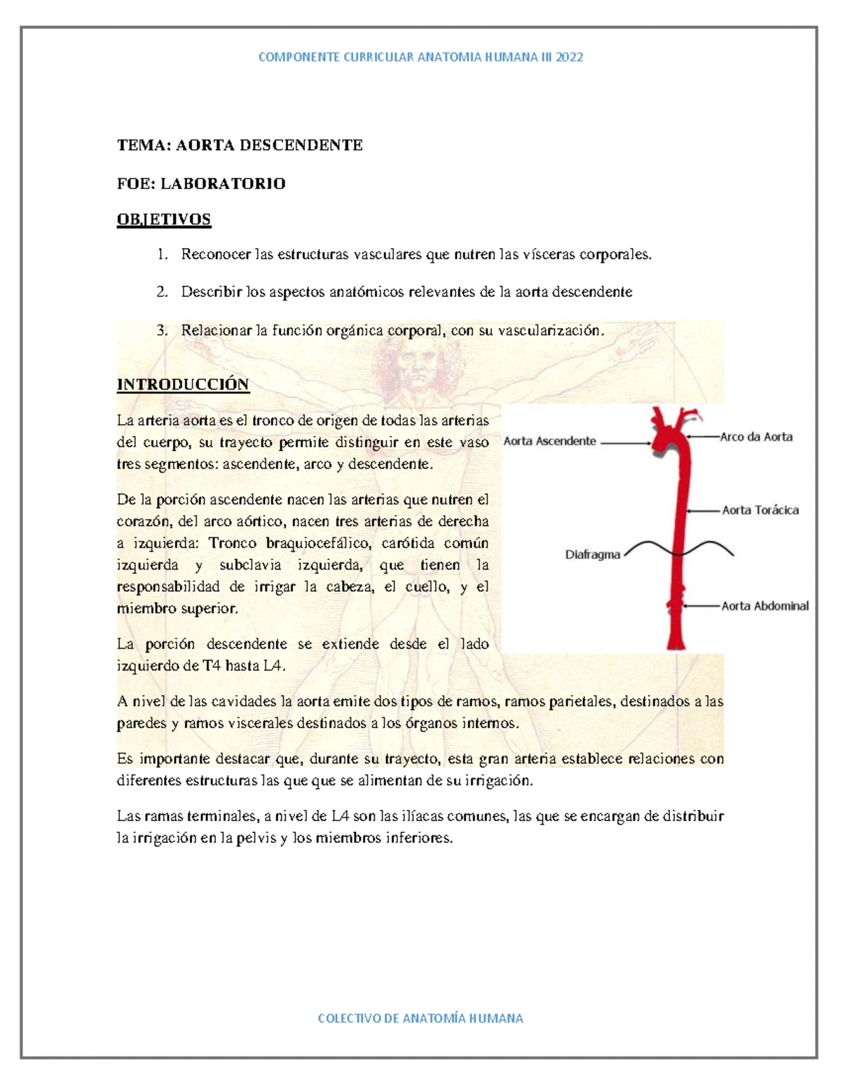 13015494 - Nematodosis Intestinales: Epidemiología y Tratamiento - Studocu, image size:1200x1553