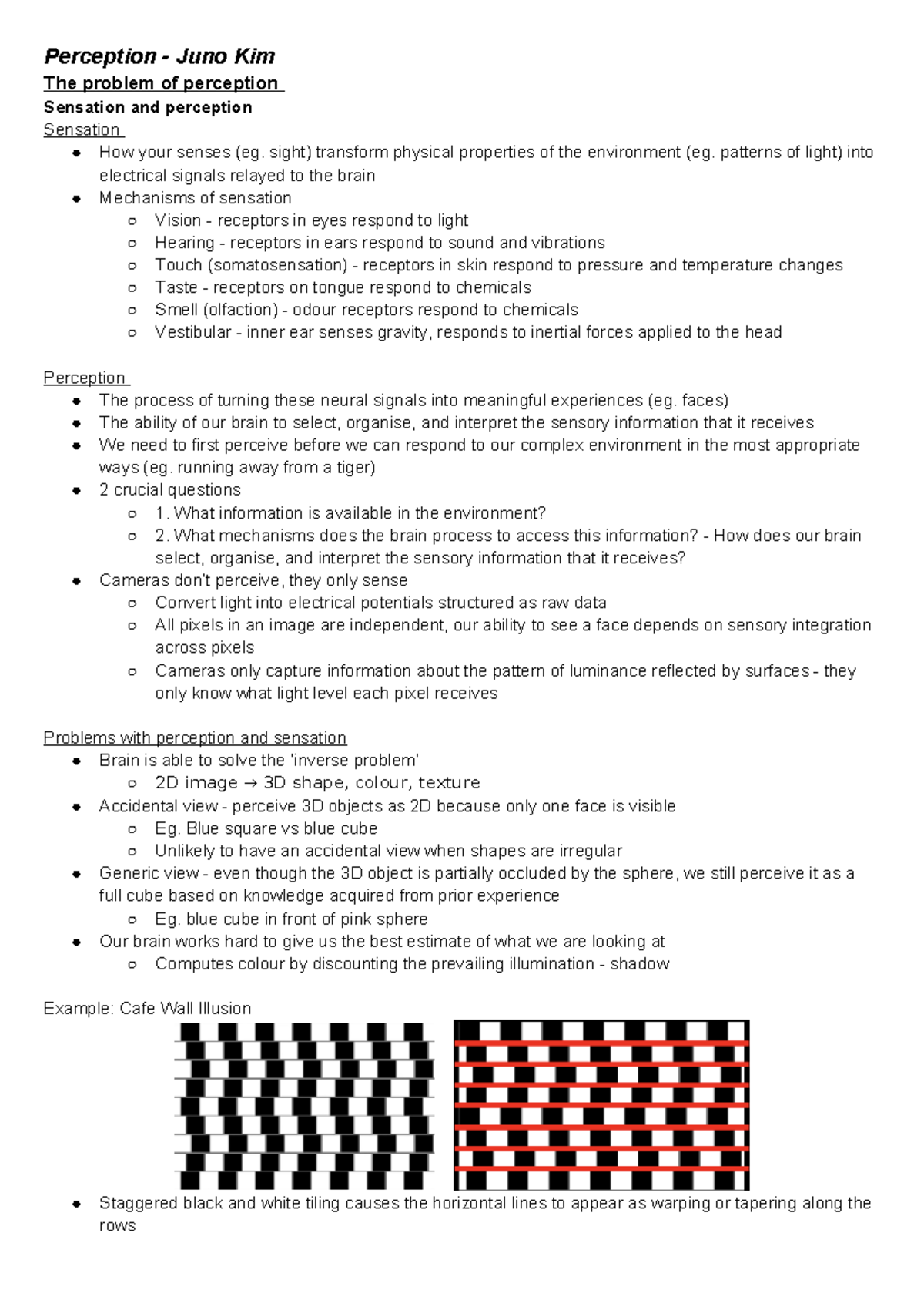 Visn1101 Lecture Notes: Understanding Sensation and Perception - Studocu