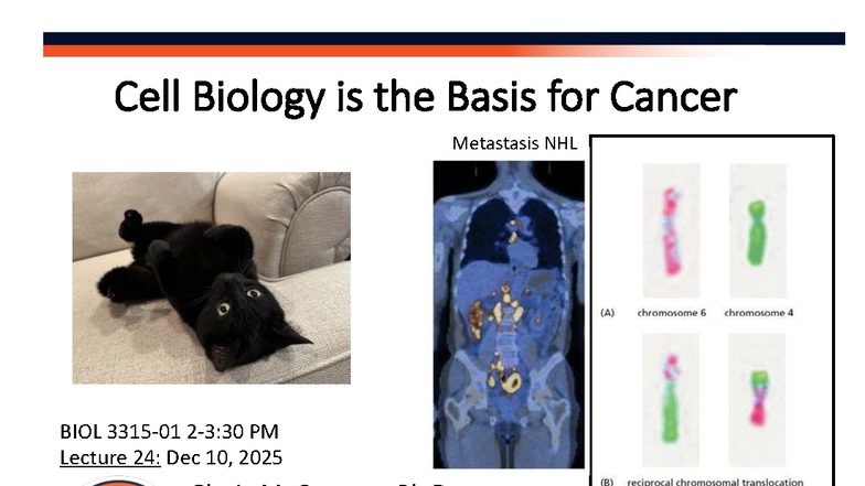 Oncogenes and Tumor Suppressor Genes: Mechanisms in Cancer (BIOL 3315 ...