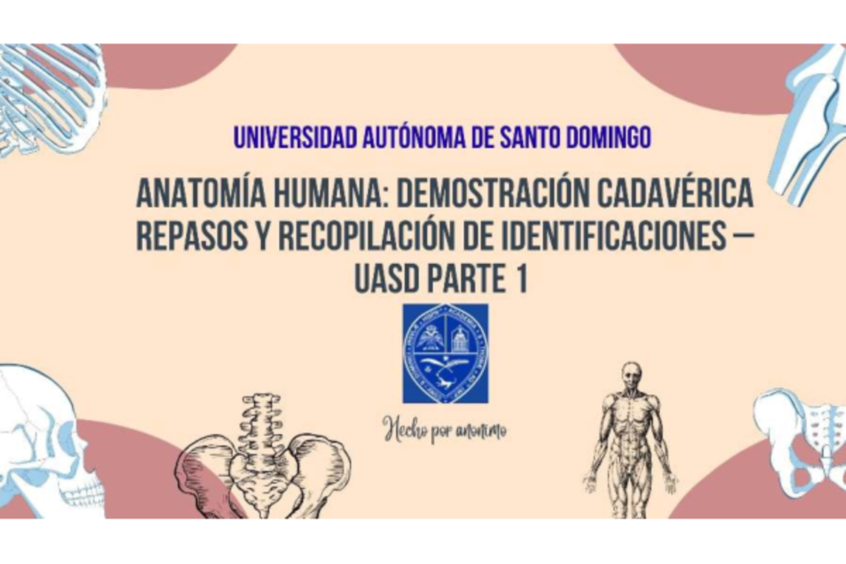 Repasos de Demostraciones Cadavéricas en Anatomía 1 y 2 UASD - Studocu
