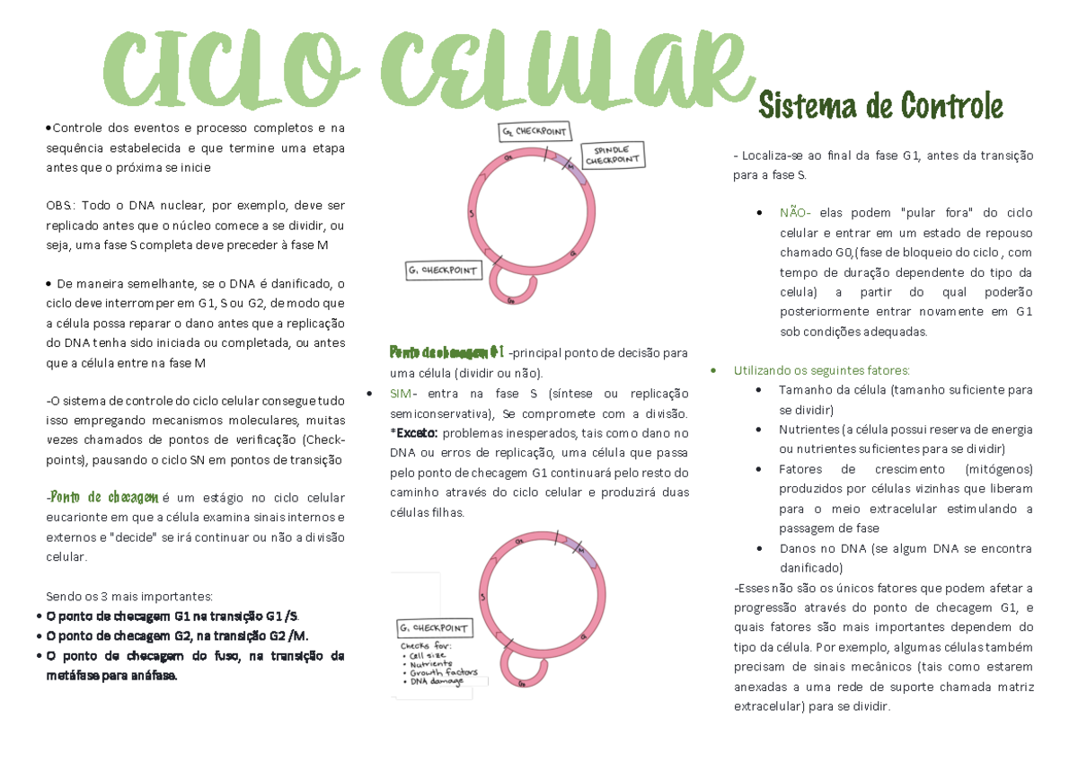 Controle do Ciclo Celular: Mecanismos e Checagens (Biologia 101) - Studocu