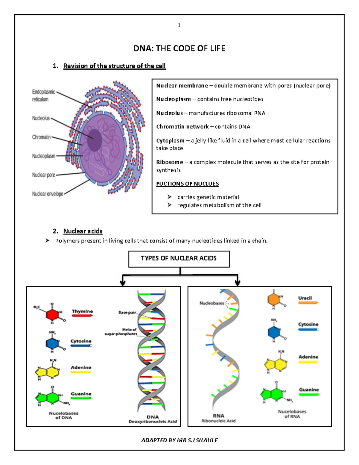 LFSC GR12 Final Exam Notes: DNA - The Code of Life - Studocu