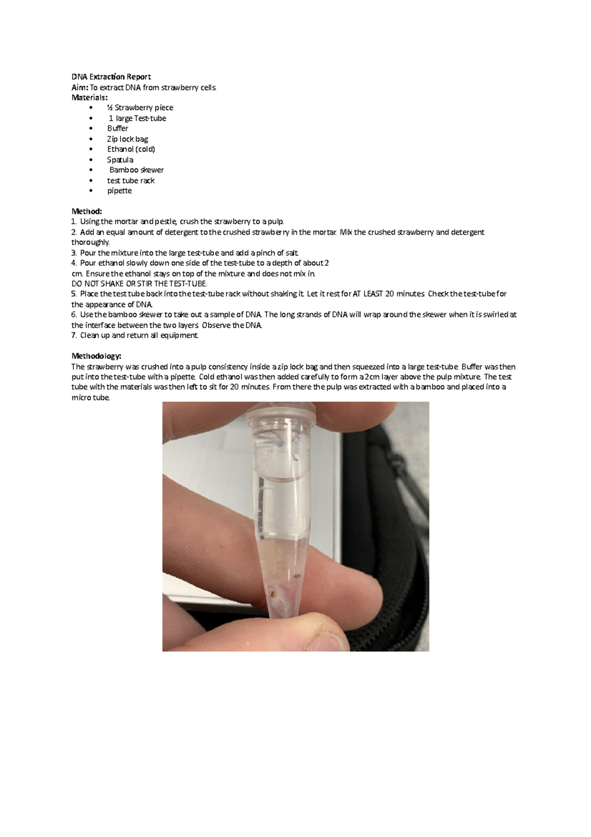 DNA Extraction Report - ufhurn3rk - DNA Extraction Report Aim: To ...
