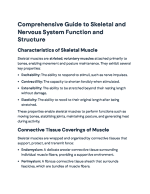 Comprehensive Analysis of Spinal Cord Function and Anatomy ...
