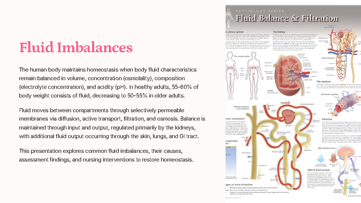 Fluid Imbalances: Understanding Causes, Assessment, and Nursing Care ...