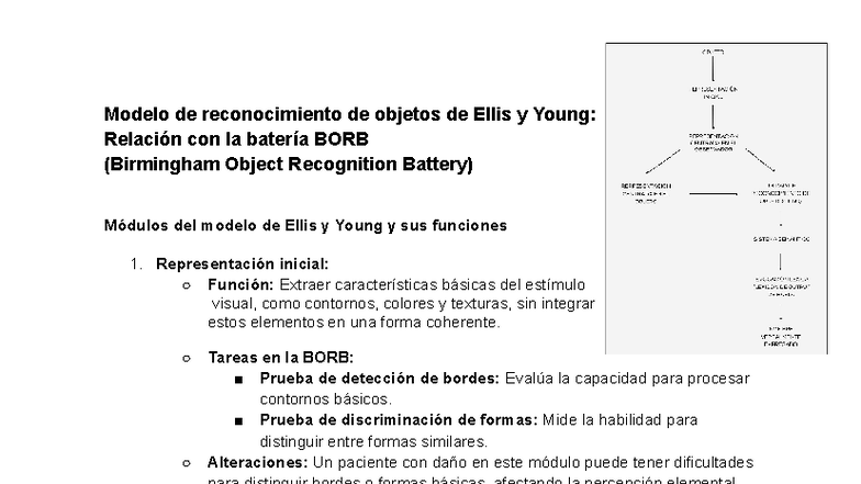 Modelo de reconocimiento de objetos de Ellis y Young: BORB y funciones ...