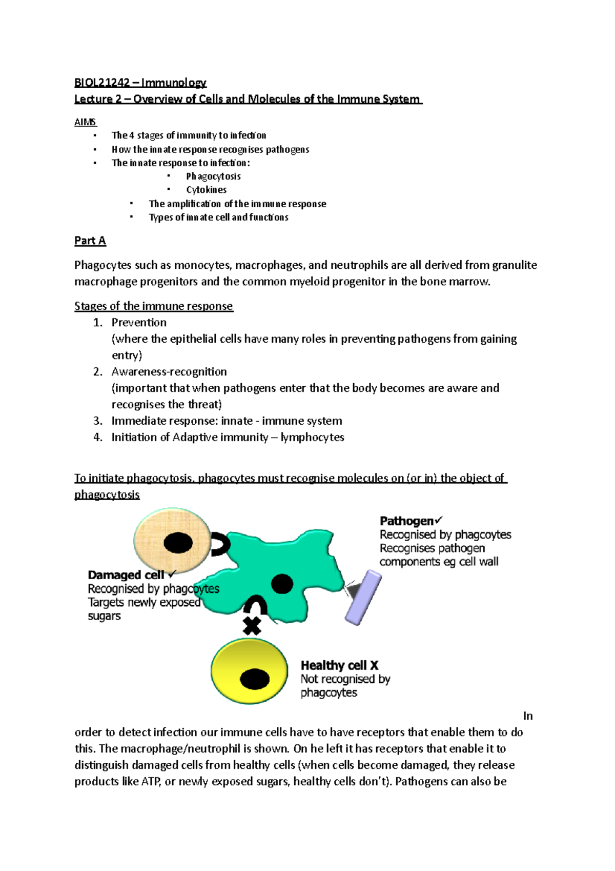Lecture 2 – Overview of Cells and Molecules of the Immune System ...