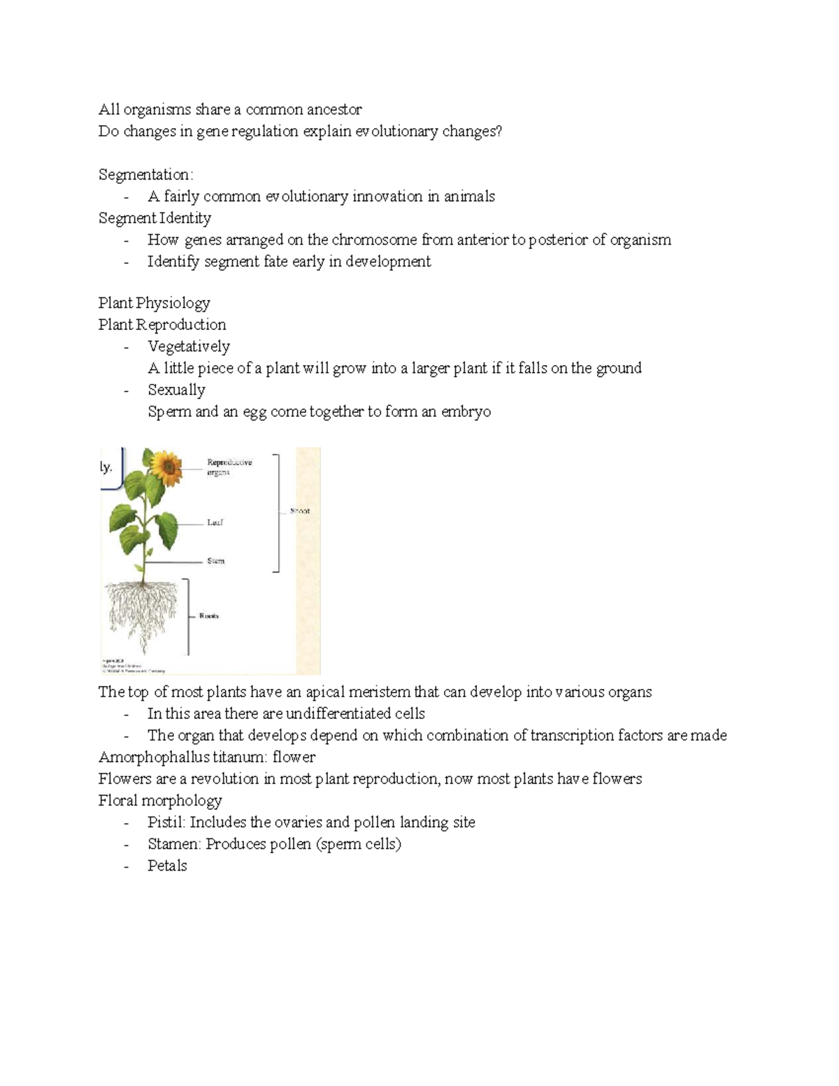 BIOL 152 - Double Fertilization & Seed Development Overview - Studocu