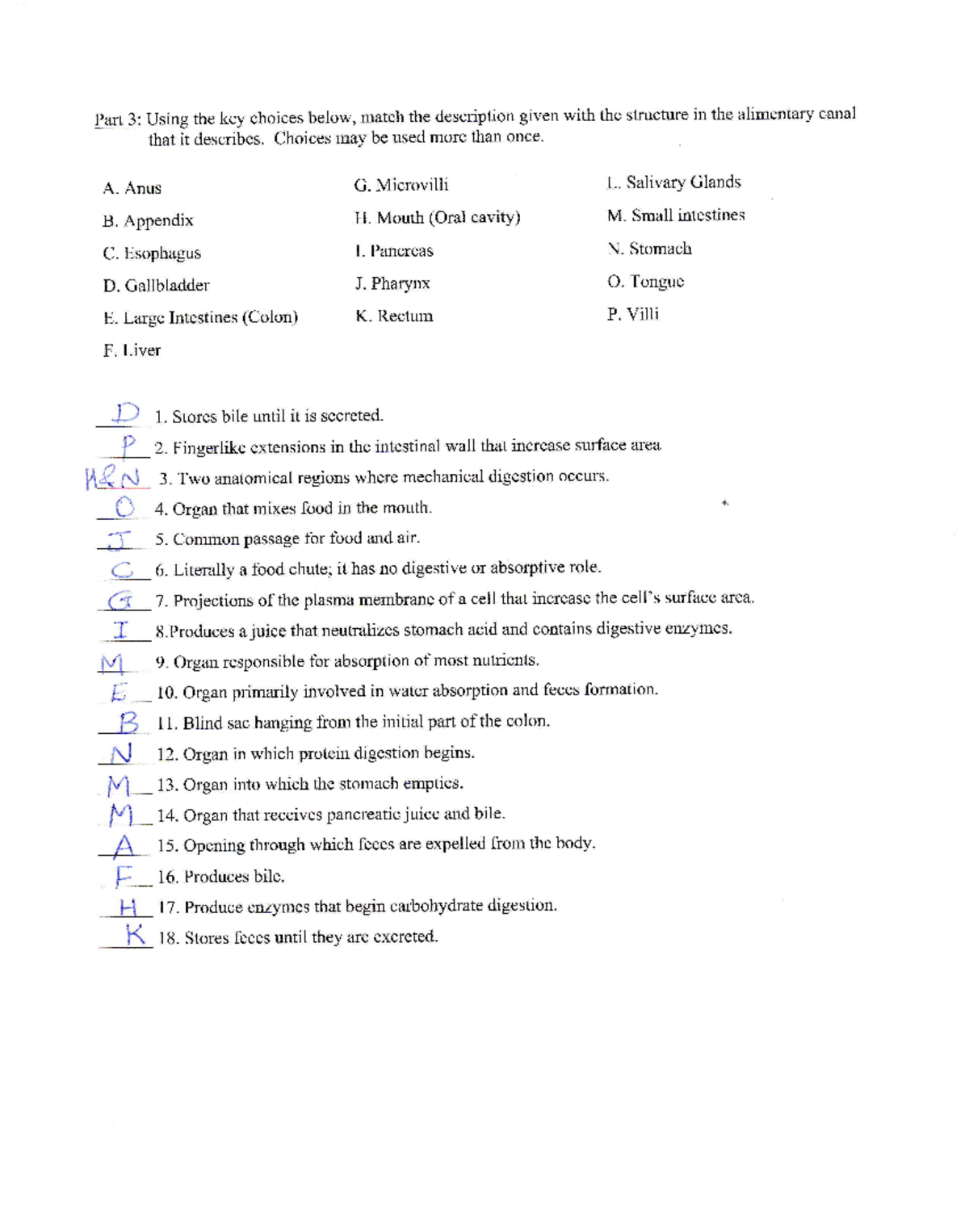 Anatomy 3: Alimentary Canal Structures & Functions Matching Guide - Studocu