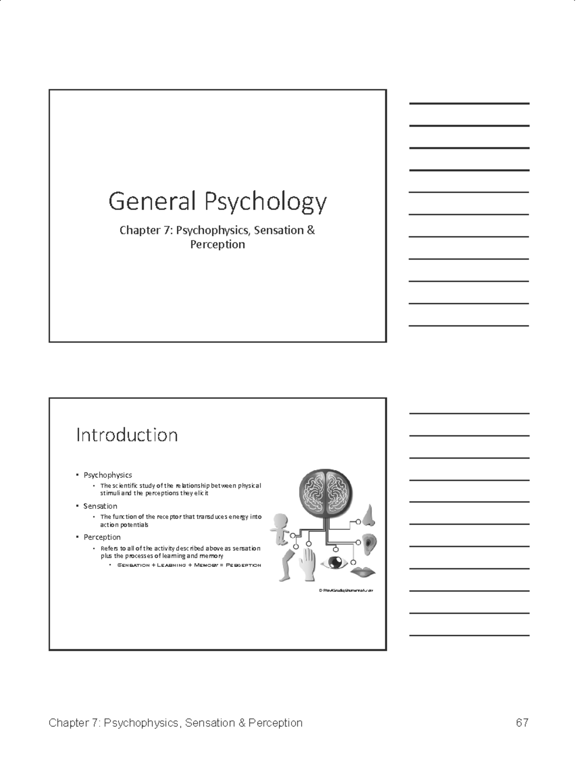 CH7: Psychophysics, Sensation & Perception Overview and Insights - Studocu