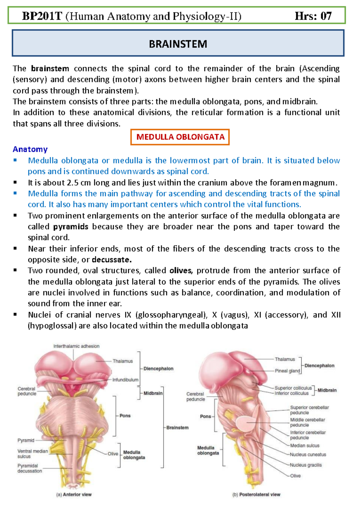 Anterior Cranial Fossa Boundaries Contents Teachmeanatomy