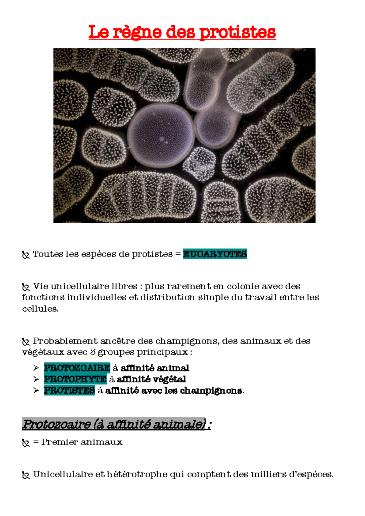 7. Exploration du Règne Fongique : Caractéristiques et Reproduction -  Studocu