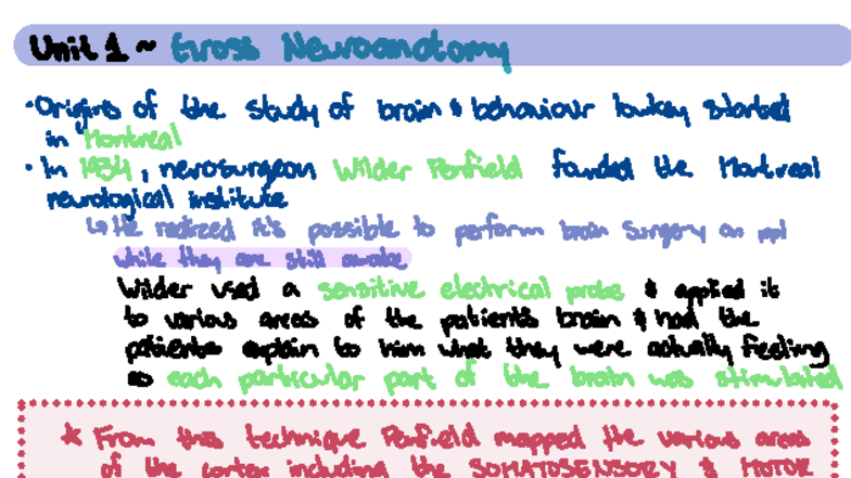 Neuro 355 Lecture Notes: Unit 1 - Gross Neuroanatomy Overview - Studocu