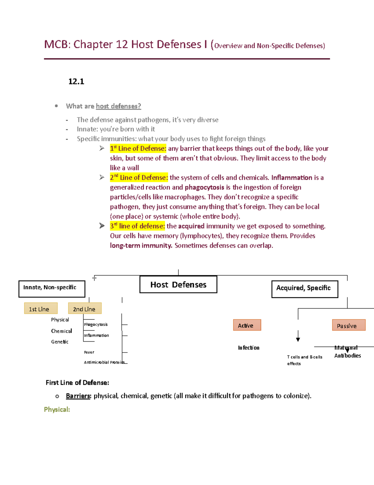 MCB Chapter 12 Notes: Host Defenses and Immunity Overview - Studocu