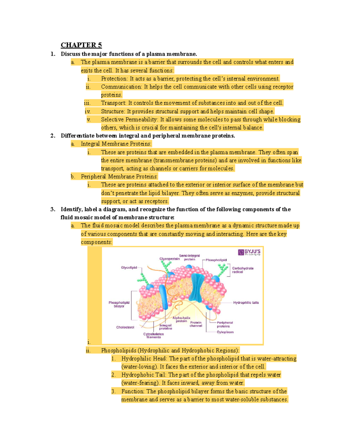 CH 5,6,7 Exam Review: Membrane Functions, Transport, and Cell Dynamics ...