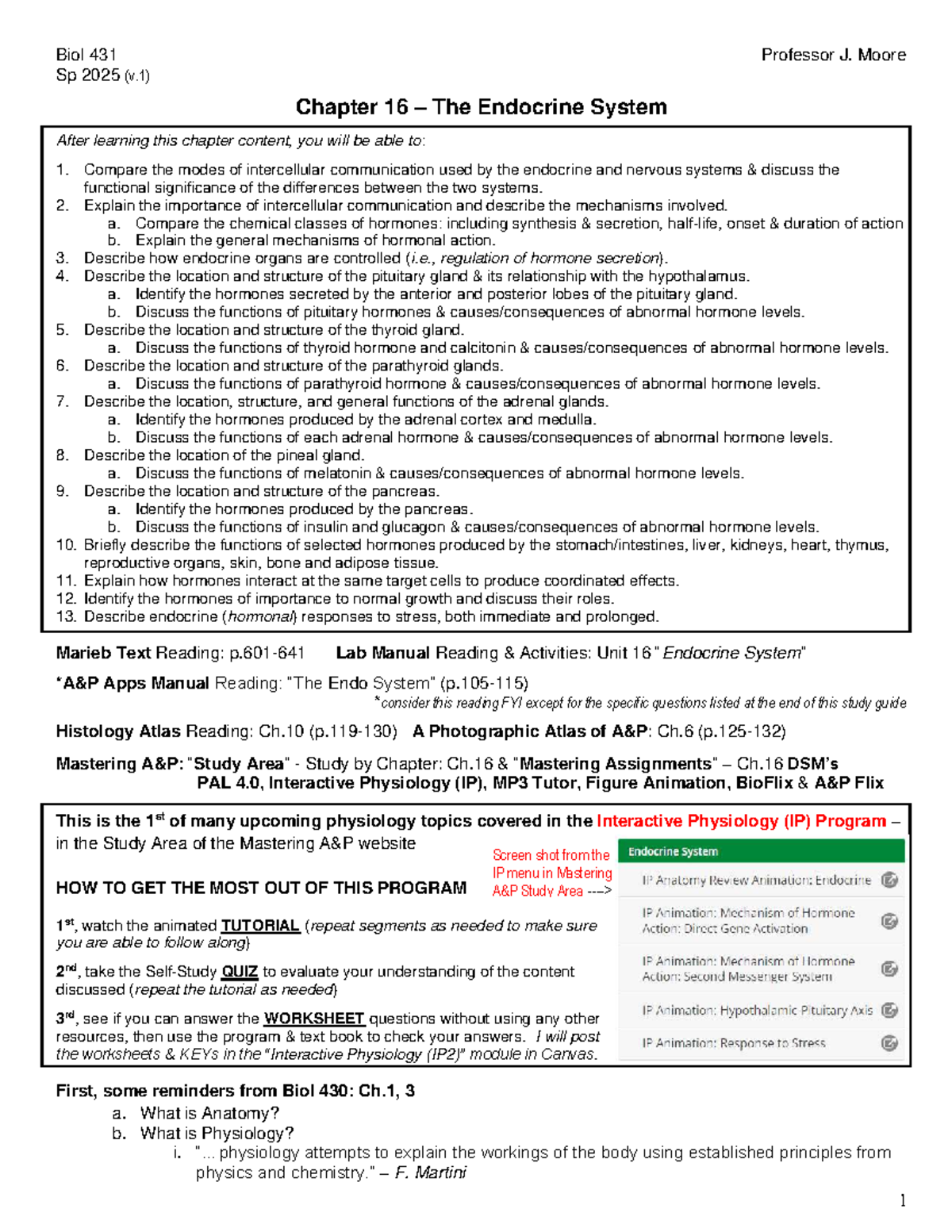 Biol 431 Chapter 16: The Endocrine System Study Guide - Studocu