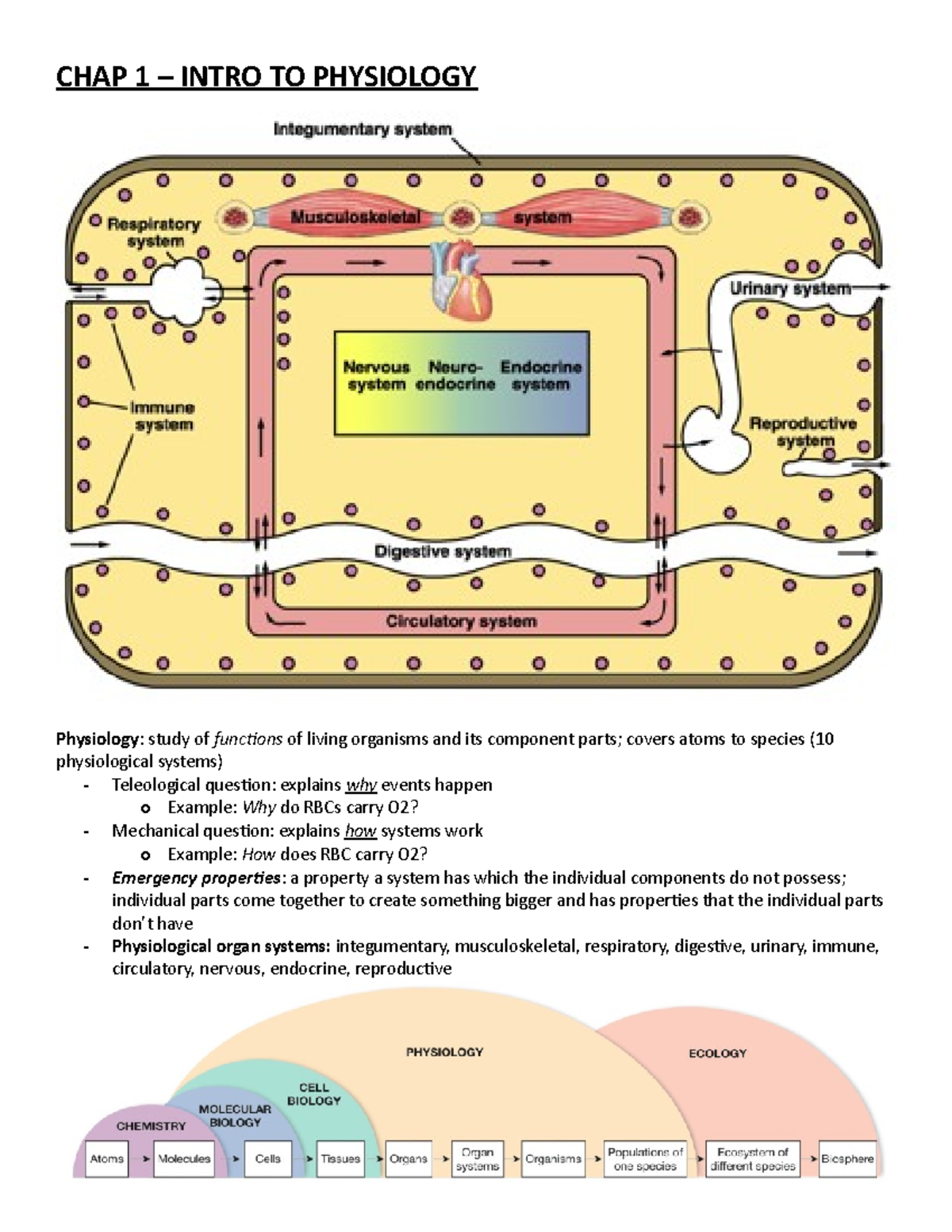 Physiology Notes - CHAP 1 – INTRO TO PHYSIOLOGY Physiology: study of ...