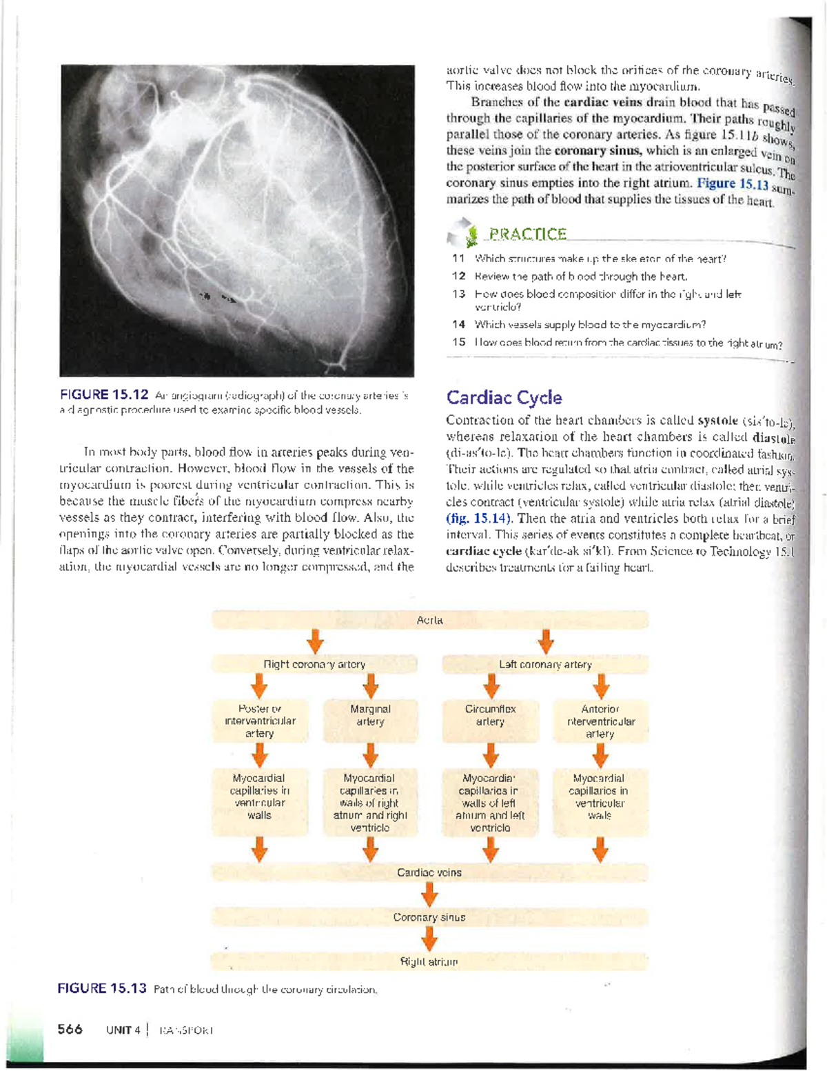 Final Exam Study Notes for Course Code XYZ101: Key Topics and Insights ...