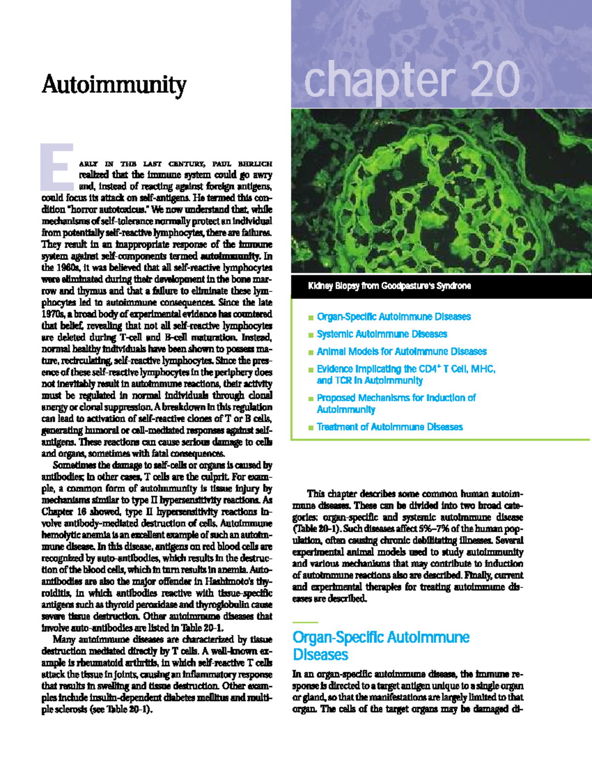 Autoimmunity: Insights from Chapter 20 on Mechanisms and Diseases - Studocu