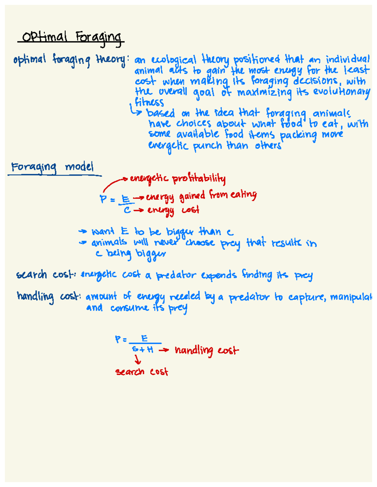 Lecture Notes on Optimal Foraging and Game Theory - Studocu