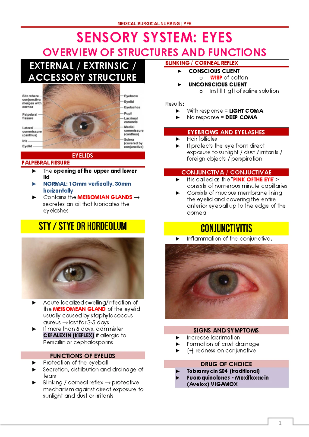 MS EARS - Sensory System and Disorders Notes - Studocu