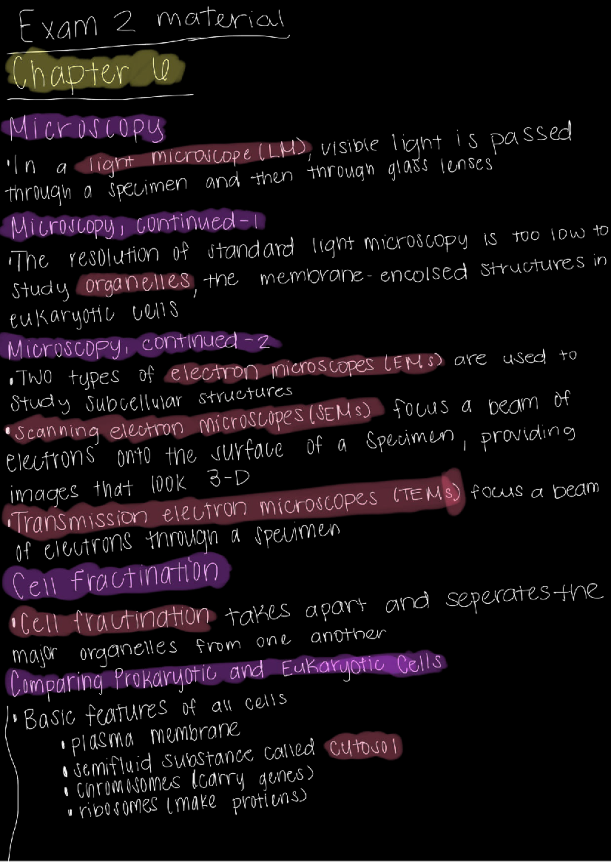 Biology 101: Exam 2 Study Guide on Microscopy and Cell Structure - Studocu